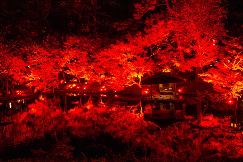 八芳園「TOKYO RED GARDEN 2024」イメージ