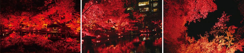 八芳園「TOKYO RED GARDEN 2024」イメージ